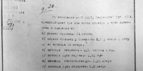 Появление и развитие Пензенского Аэроклуба | Стр. 08