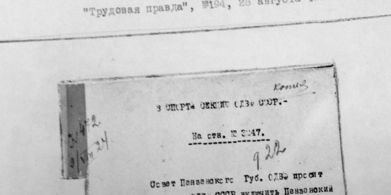 Появление и развитие Пензенского Аэроклуба | Стр. 10